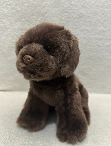 Myoni aurora brown labrador - myoni,