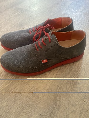 Kangaroos urban style - urban,