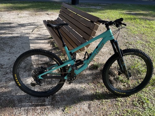 Santa cruz bronson - c, large