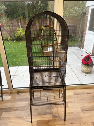 Parrot cage with stand - parrot,