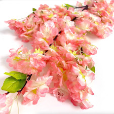 BLOSSOM FLOWER TREE STEM PINK