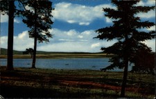 White Mountains Arizona Big