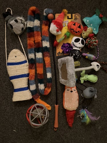 Cat toy bundle all sorts - cat,