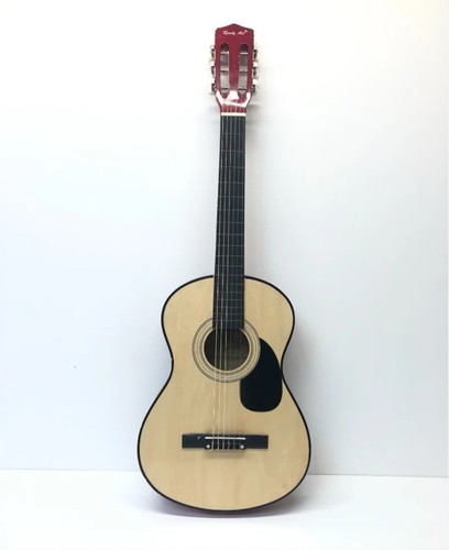 Ready ace acoustic - ace,