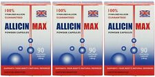 Allicin Max Garlic 90 capsules