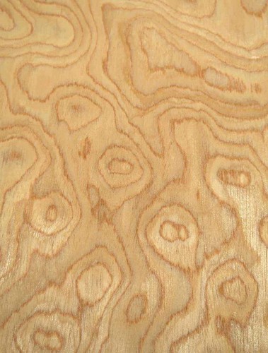 Saraifo oak maser - oak,