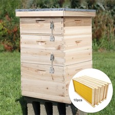Langstroth wooden beehive - langstroth, box