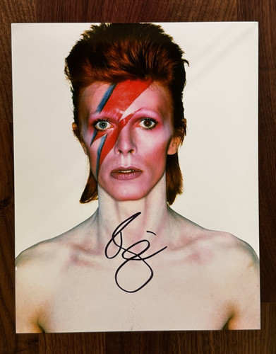 David bowie ziggy stardust - bowie,