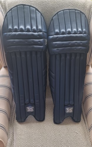 Cricket pads - cricket,