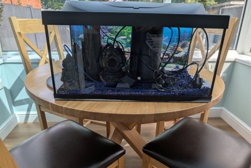 Fish tank aquarium complete - fish,