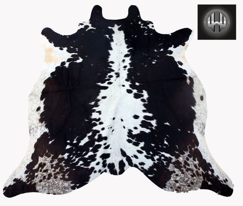 Real picture 100 - picture!, cow