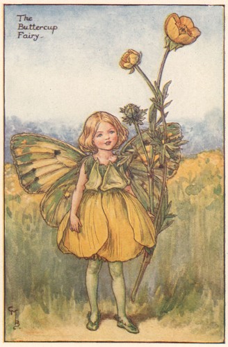 Buttercup fairy cicely mary - by,