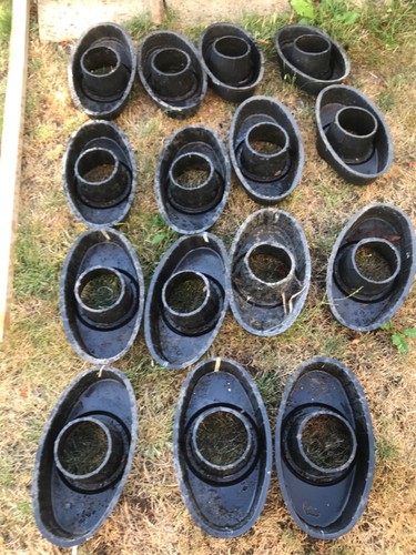 Tomato growing halos - x, 15