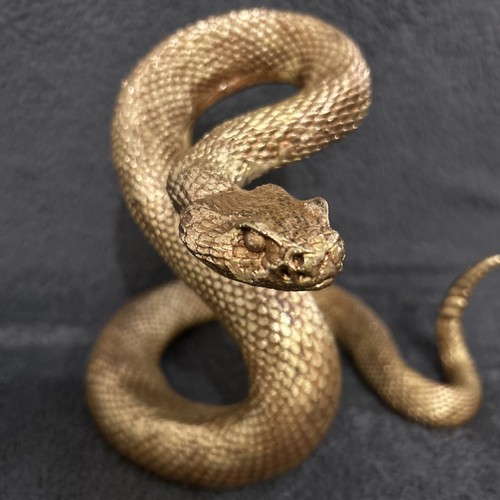Gold coiled rattle snake - coiled,