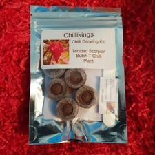 Trinidad Scorpion Butch T Red, Superhot Chilli Grow Kit! 6, Seeds! Chillikings!