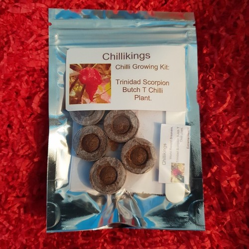 Trinidad scorpion butch red - t,