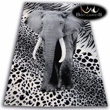 Original animal theme - animal, carpets