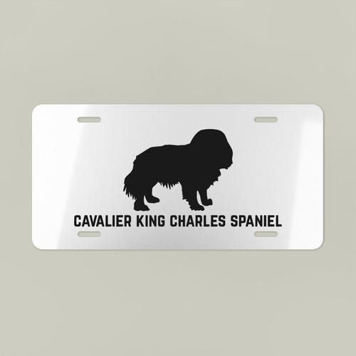 Cavalier king charles spaniel - king,