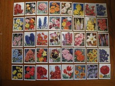 Set of WILLS GARDEN FLOWERS A series  1938 Large Size  cigarette cards VG