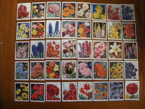 Set wills garden flowers a - of,