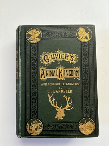 Cuvier animal kingdom with - animal,