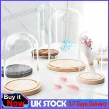 Clear Glass Display Dome Bell Jar Cloche Wooden Base Figure Action Decor