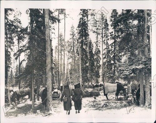 1940 northern finland military - finland,