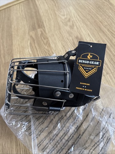 Dingo gear dog - dingo,