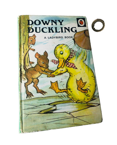 Book ladybird downy duckling - book,