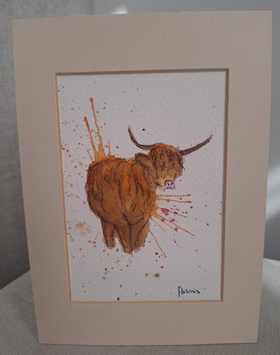 Highland cow derbyshire hand - cow,