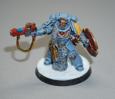Space Wolf Primaris Captain Lieutenant Warhammer 40k