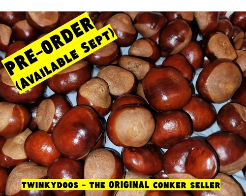Large conkers horse - large,