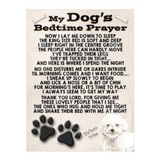 My Dogs Bedtime Prayer Metal