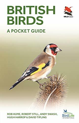 British birds pocket - birds:, a