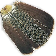 English Partridge Complete