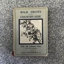 Wild Fruits Of The Countryside