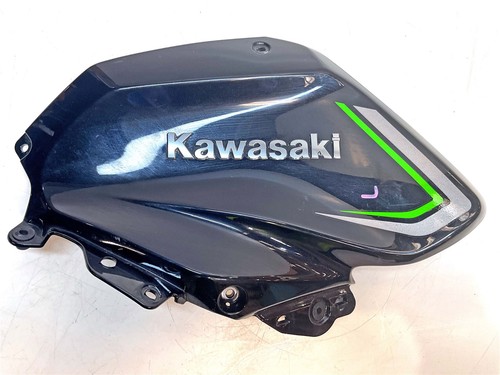 2021 kawasaki z1000 zr1000 - kawasaki,