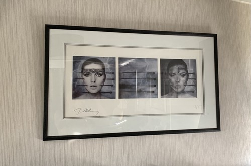 Debbie harry giger print - debbie,