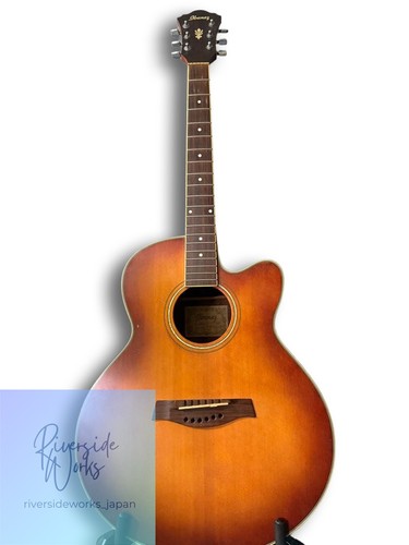 Ibanez acoustic electric - acoustic,