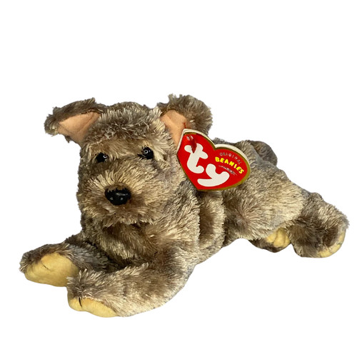Cutesy puppy dog - ,