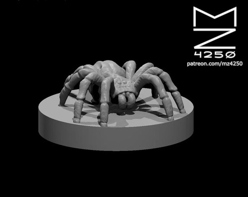 Dungeons dragons spider - dungeons, &