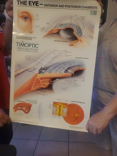 Medical posters - medical,