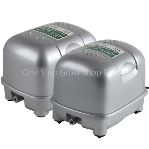 Hailea aco super - aco, silent
