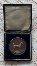 IRISH TERRIER BOXED DOG MEDAL LONDON AND PROVINCIAL IRISH TERRIER CLUB
