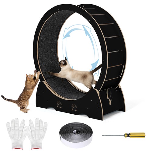 Cat exercise wheel - exercise, large