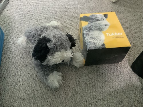 Tucker the dog soft - tucker, toy