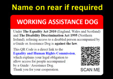 Assistance Dog Guide Dog