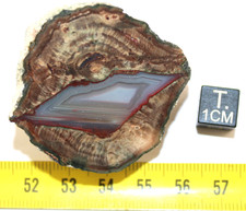 Lithophysis of the Esterel