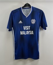 Cardiff City Home Football