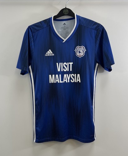 Cardiff city home football - cardiff,